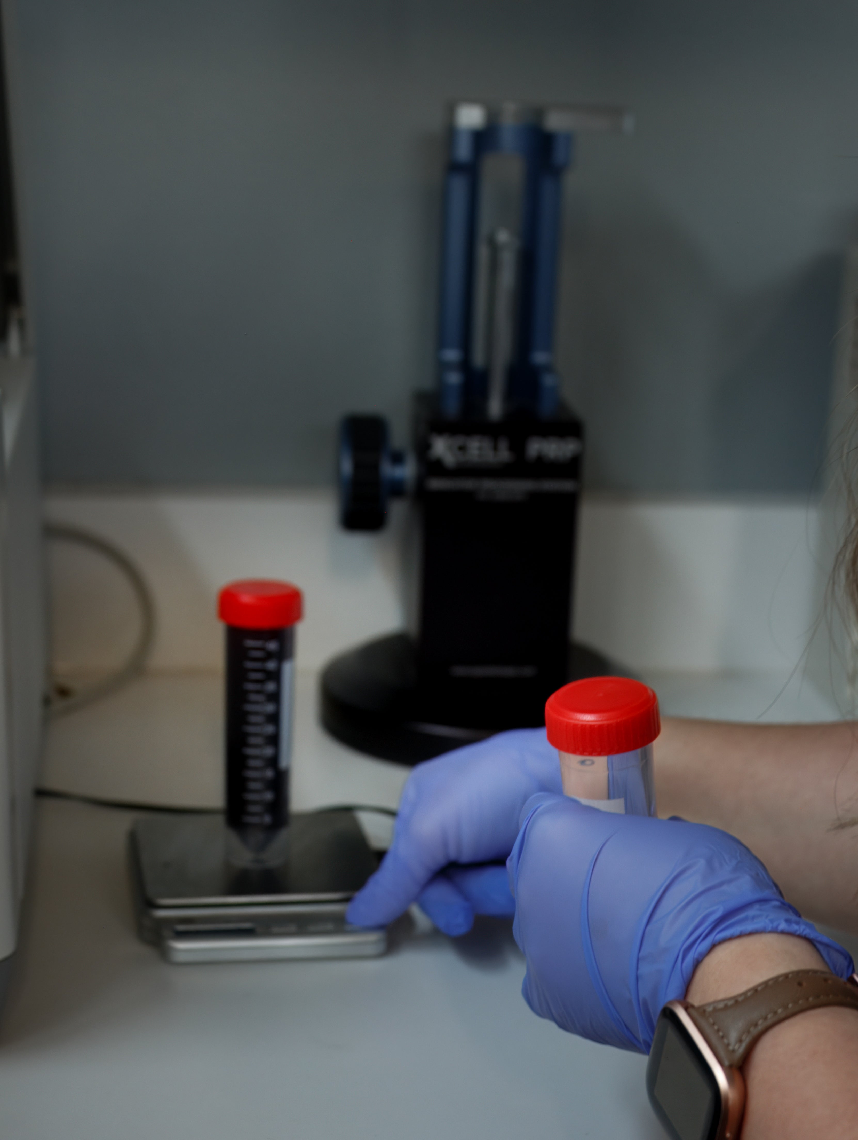 Person wearing blue gloves holding a small container with a red lid in a laboratory setting.
