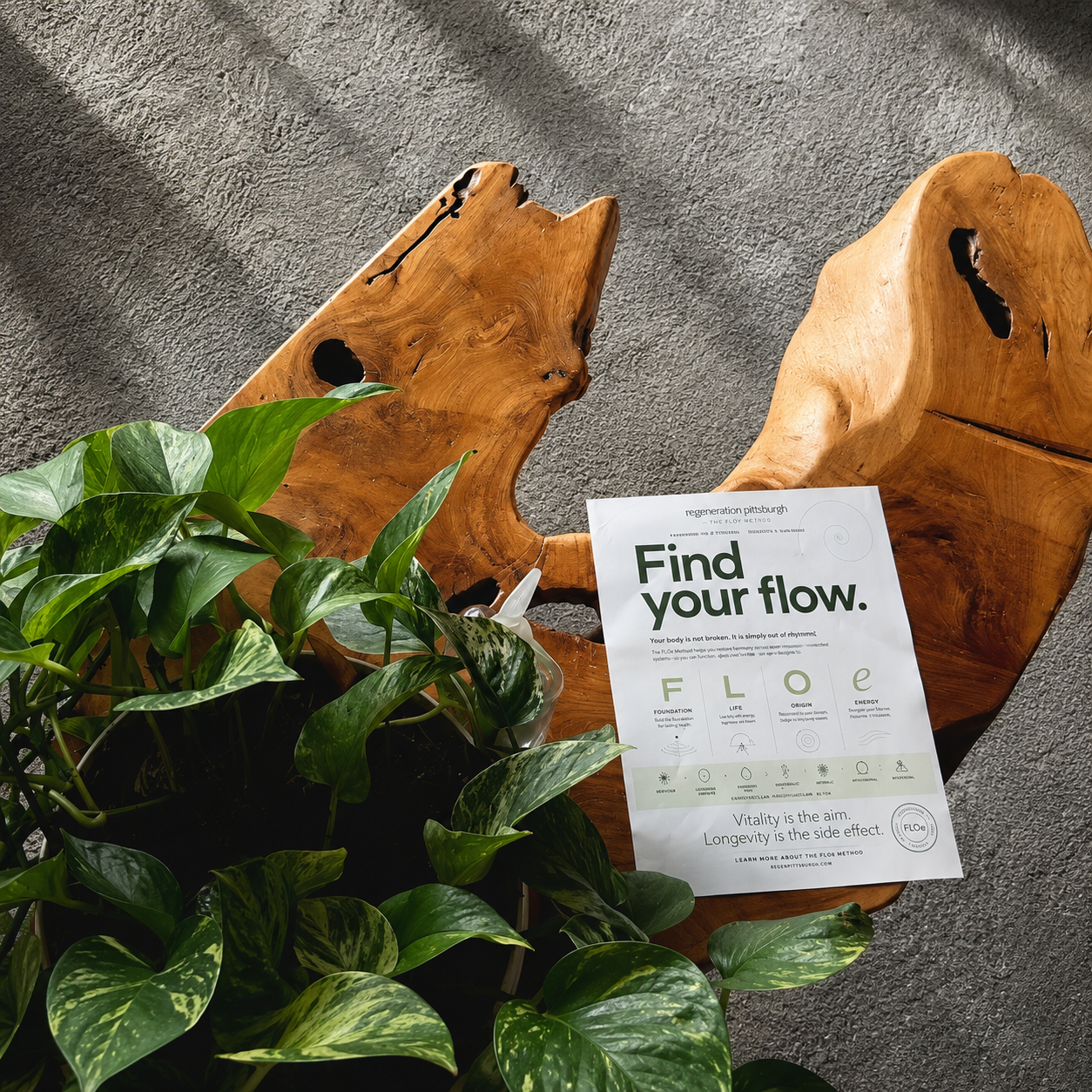 A printed wellness poster reading 'Find your flow.' is styled on a rustic wooden slab next to a green plant on a textured gray wall.